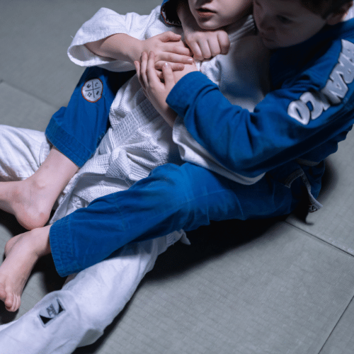 ג'יוג'יטסו ברזילאי BJJ לילדים